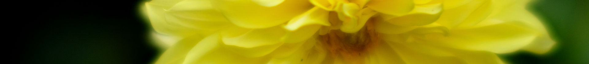 DSCF8143_edited.jpg