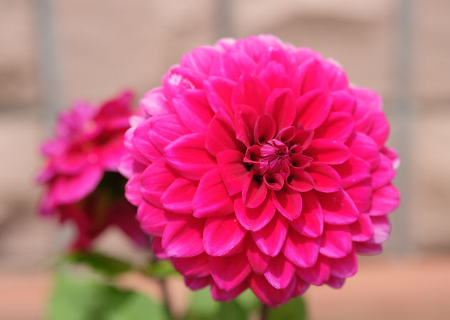 DSCF8067.JPG